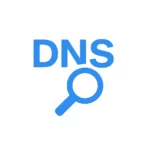 Dns LookUp Pro